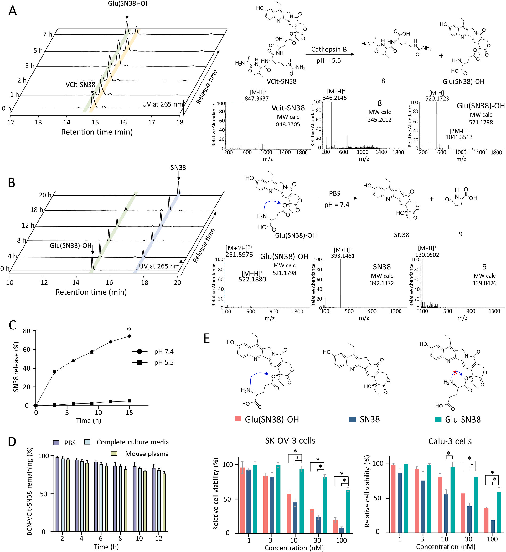 A single-chain fab derived drug conjugate for HER2 specific delivery