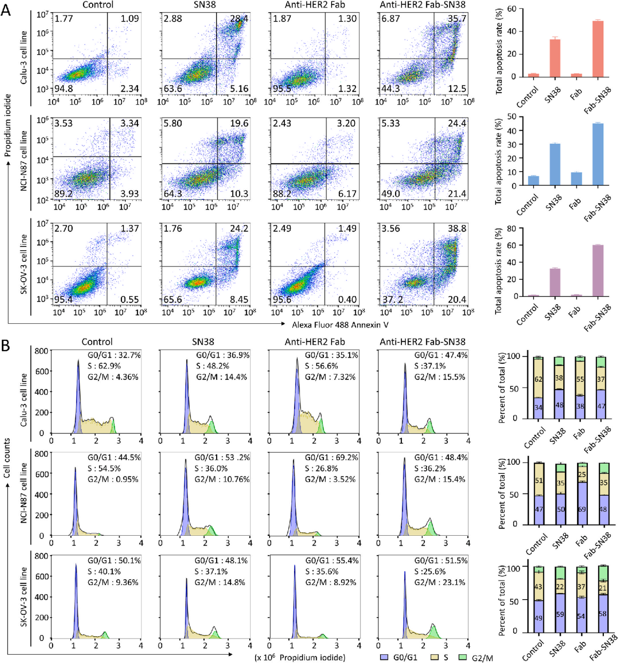 A single-chain fab derived drug conjugate for HER2 specific delivery