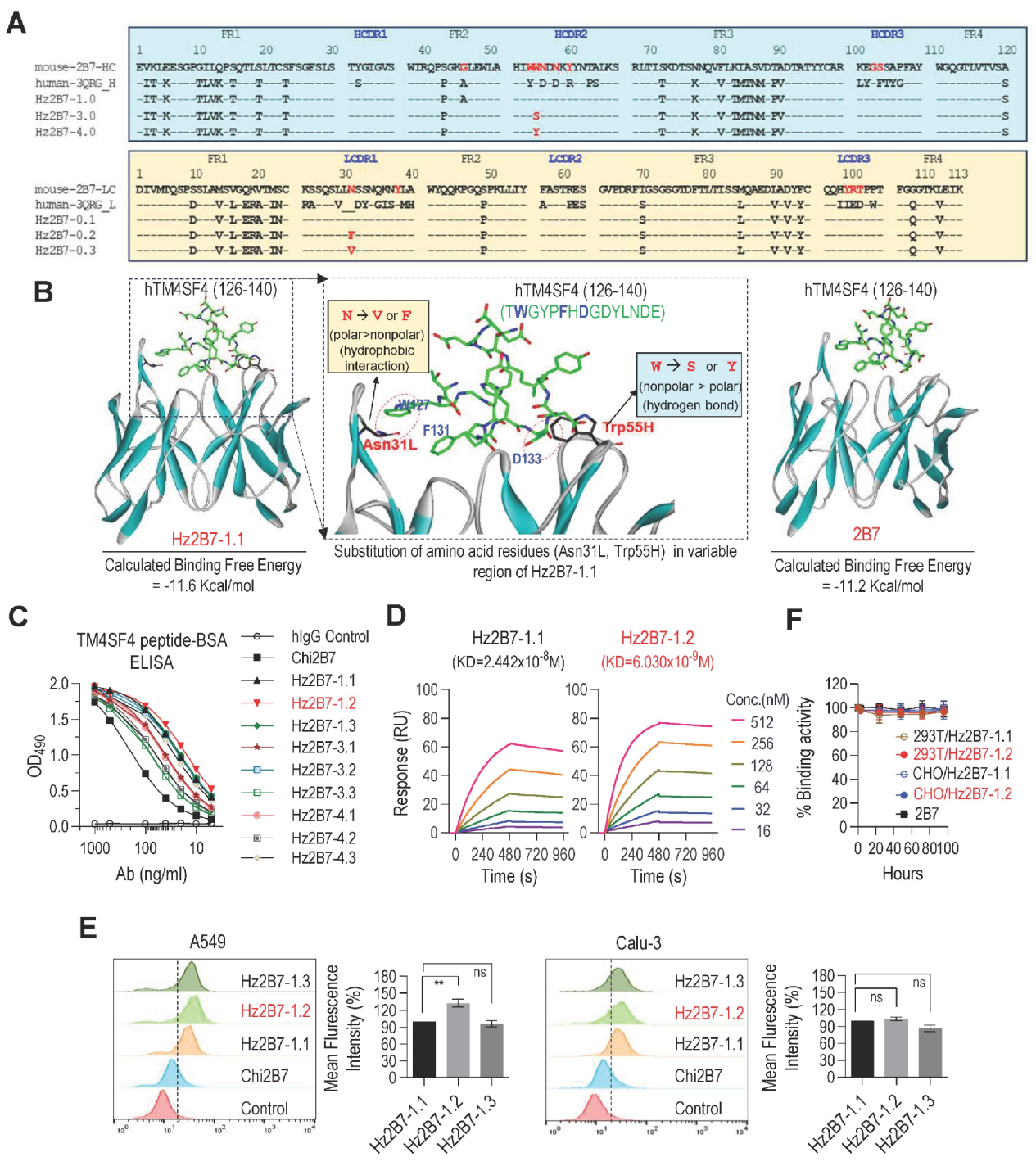 A therapeutic antibody targeting TM4SF4 with anti-tumor activity