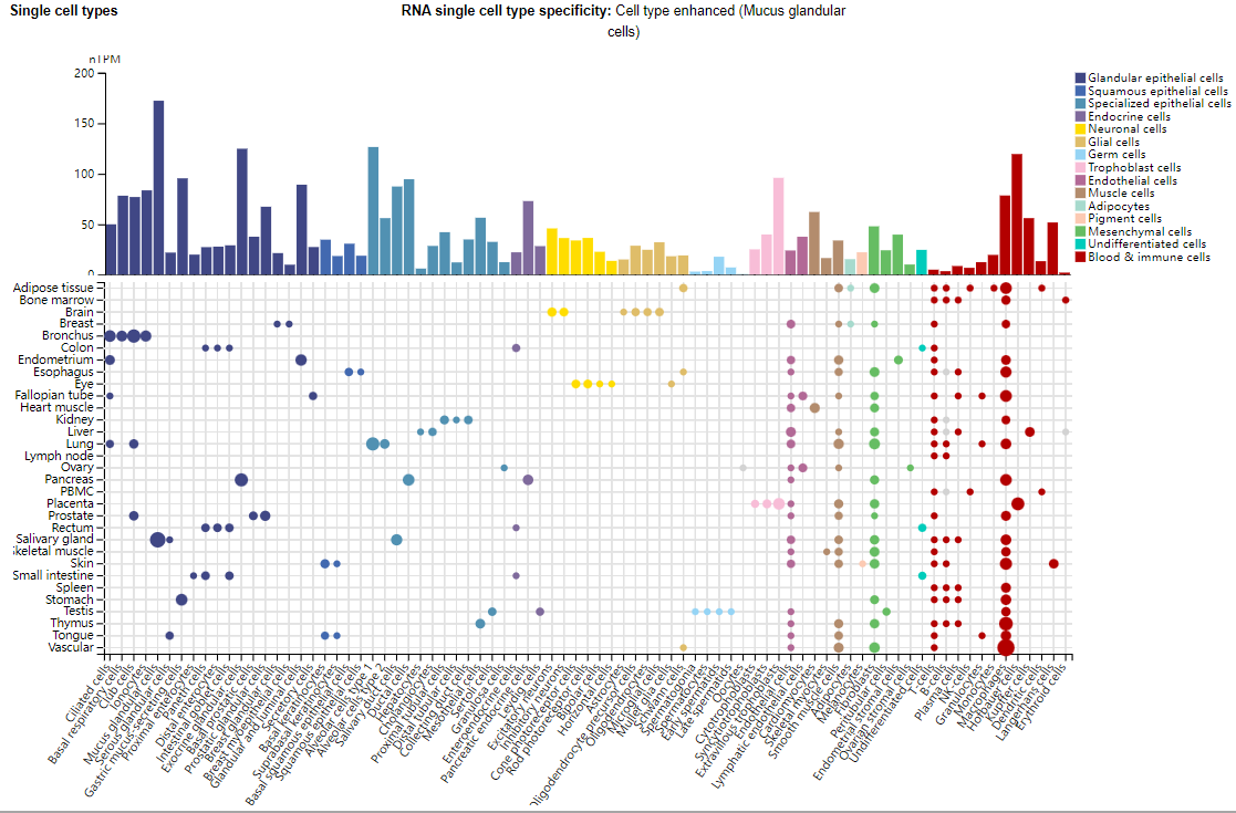 ADAM9 is a new target for ADC anticancer therapy