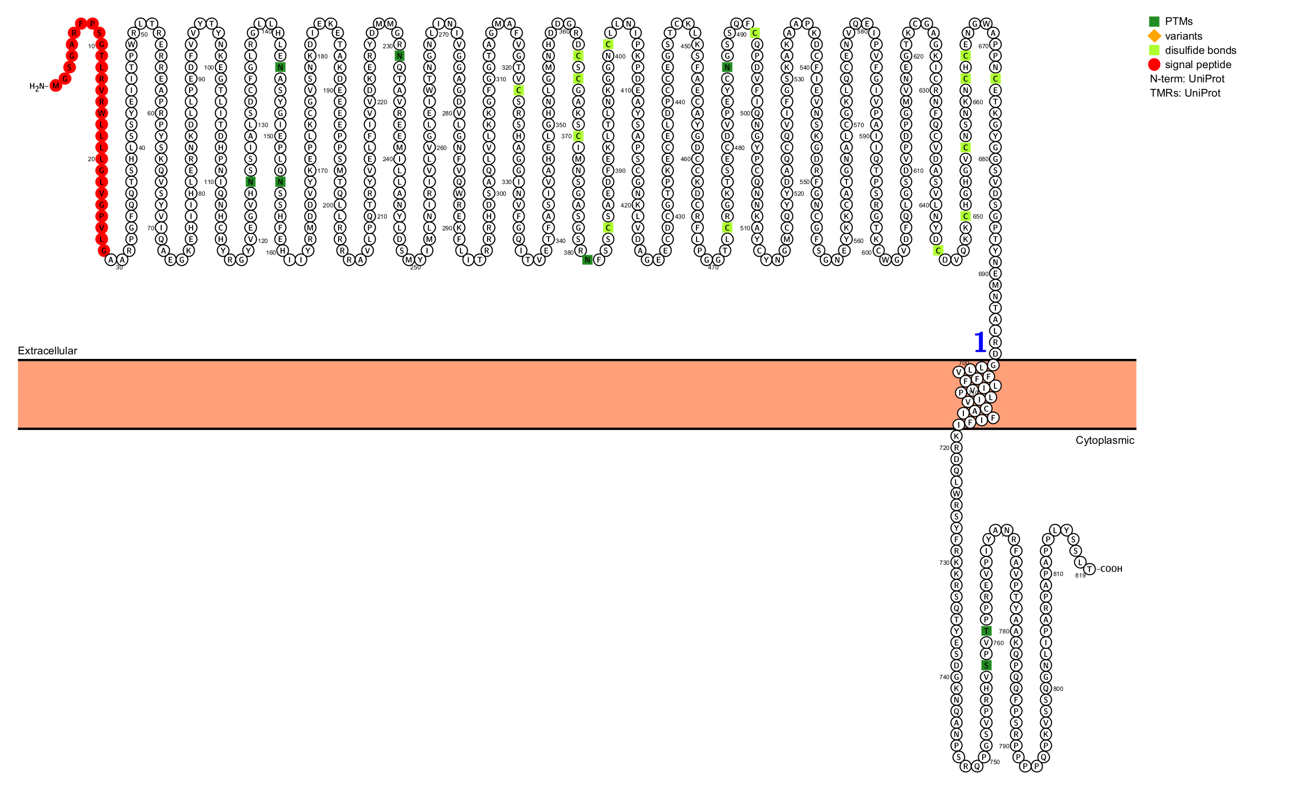 ADAM9 is a new target for ADC anticancer therapy