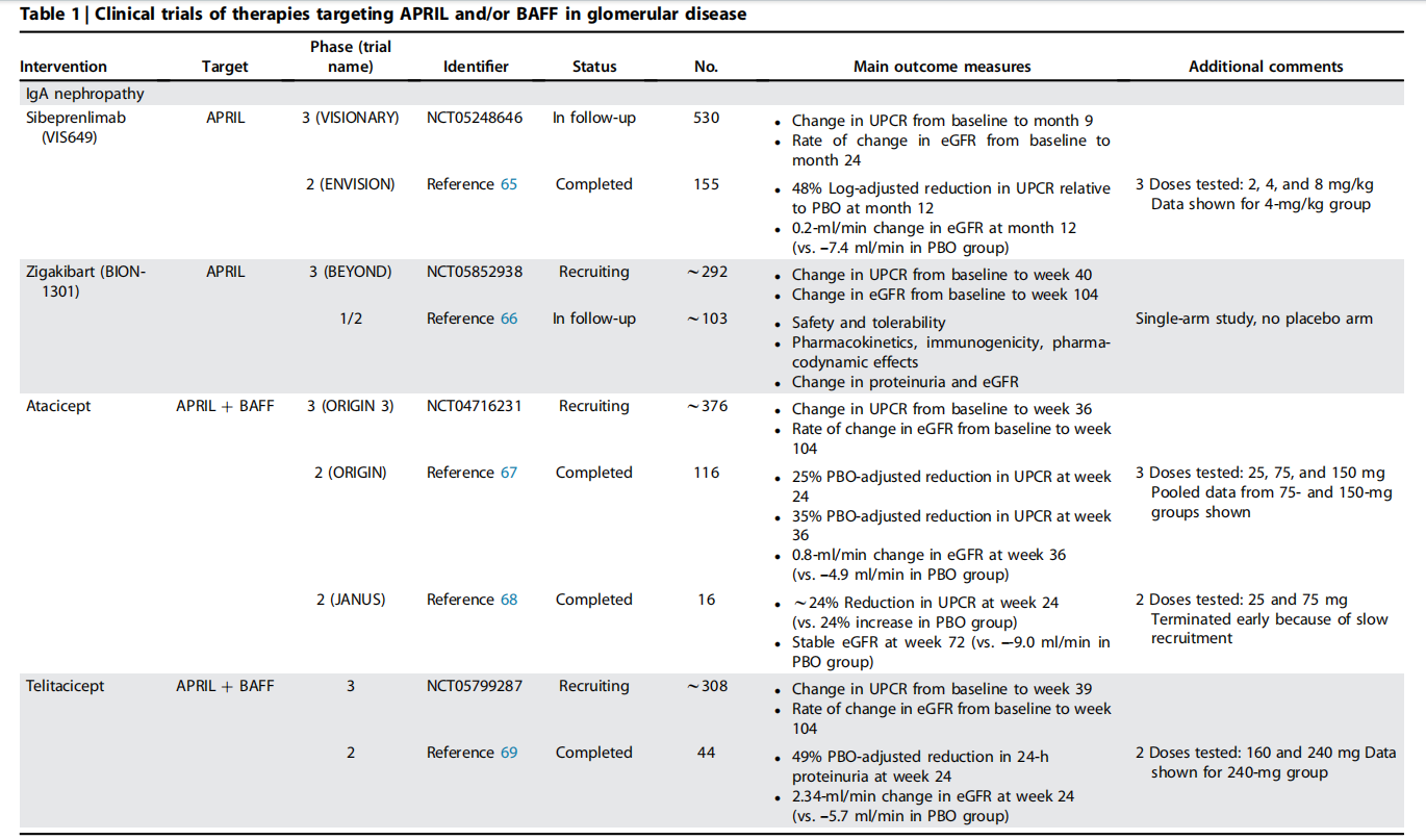 APRIL is a therapeutic target for IgA nephropathy