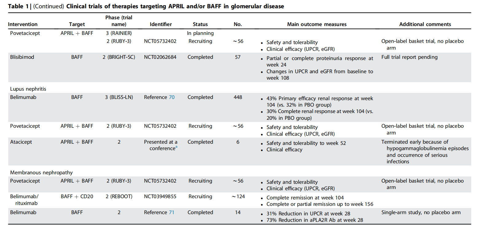 APRIL is a therapeutic target for IgA nephropathy