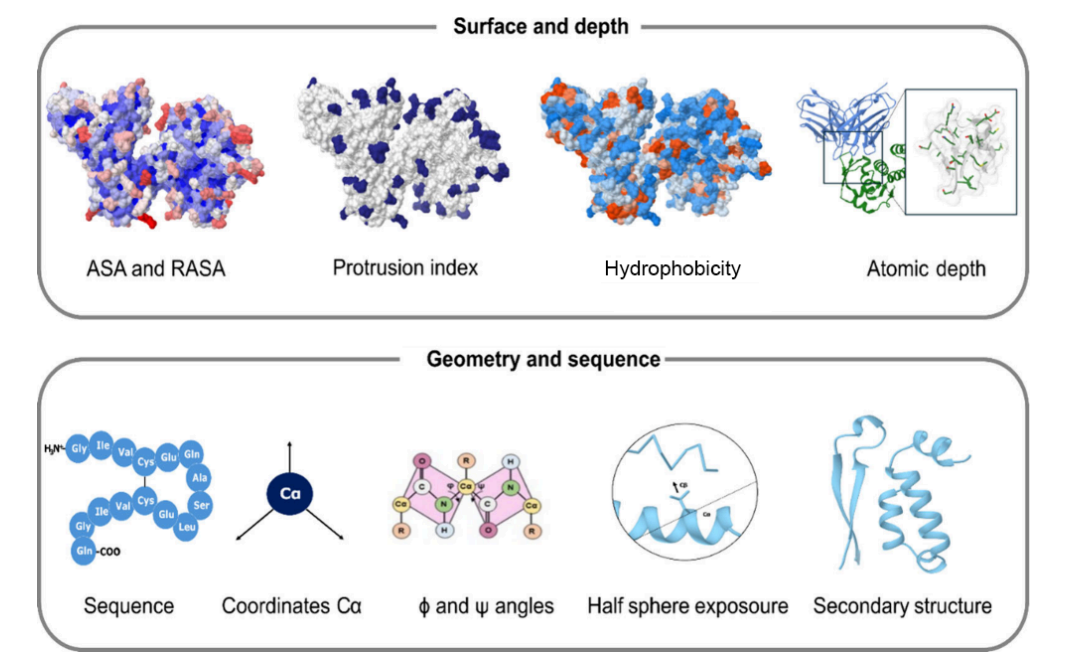 AbSet: A Standardized Data Set of Antibody Structures for Machine Learning Applications