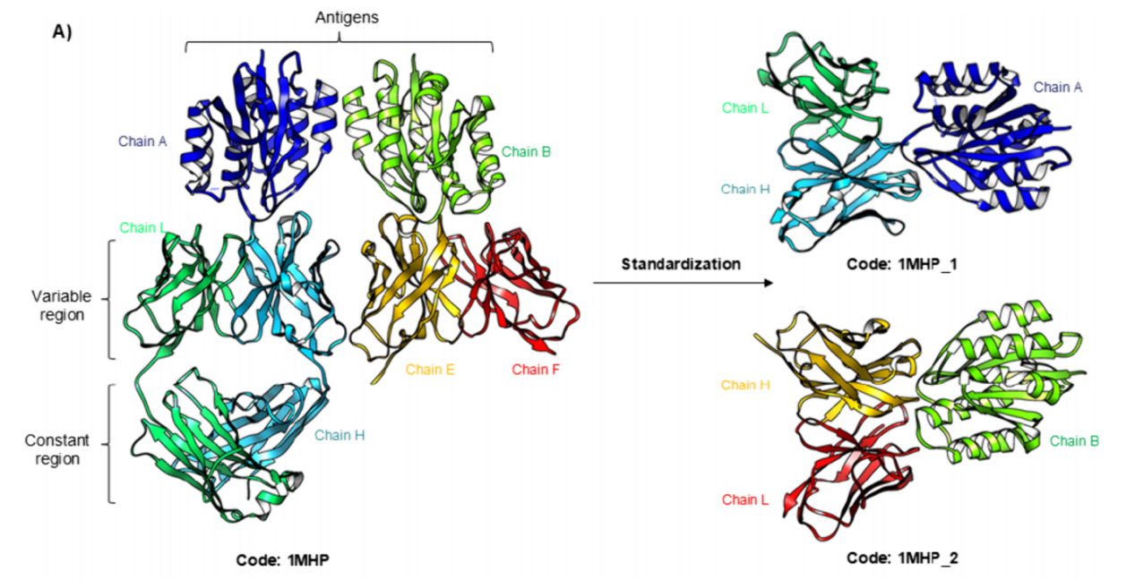 AbSet: A Standardized Data Set of Antibody Structures for Machine Learning Applications
