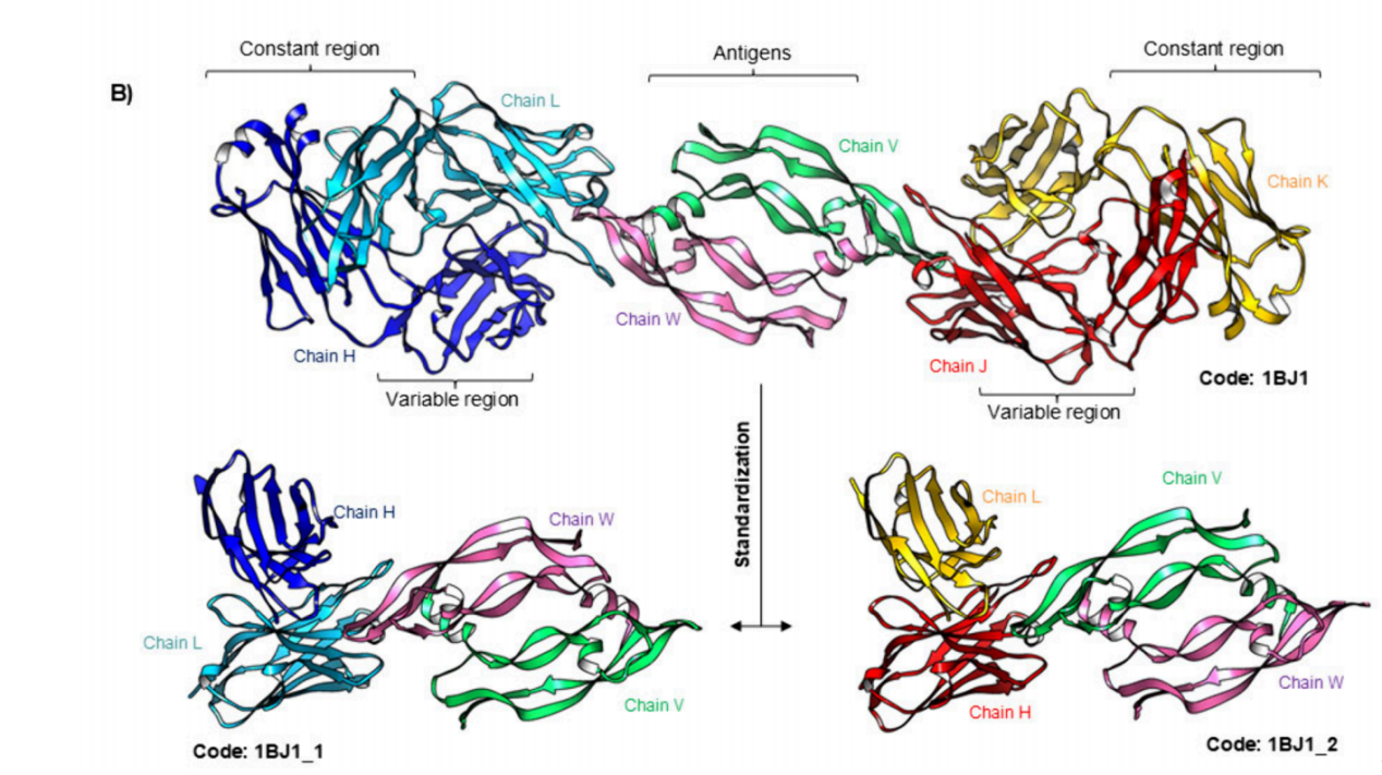 AbSet: A Standardized Data Set of Antibody Structures for Machine Learning Applications