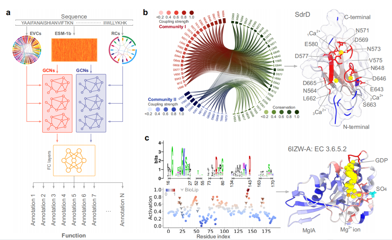 Accurate prediction of protein function using statistics informed graph networks