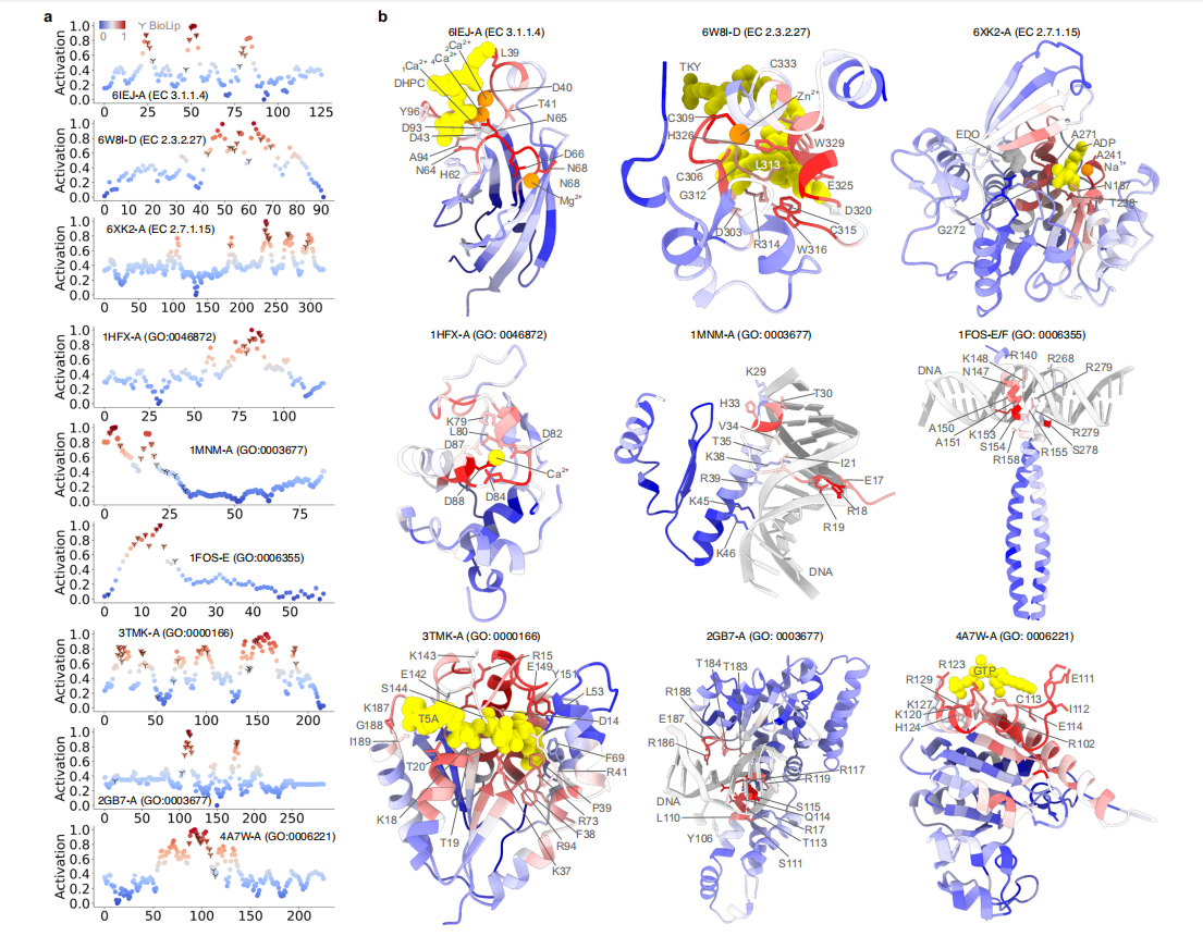 Accurate prediction of protein function using statistics informed graph networks