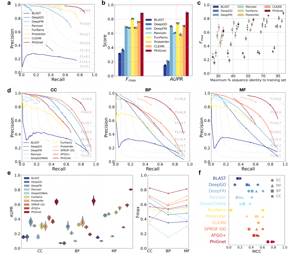 Accurate prediction of protein function using statistics informed graph networks