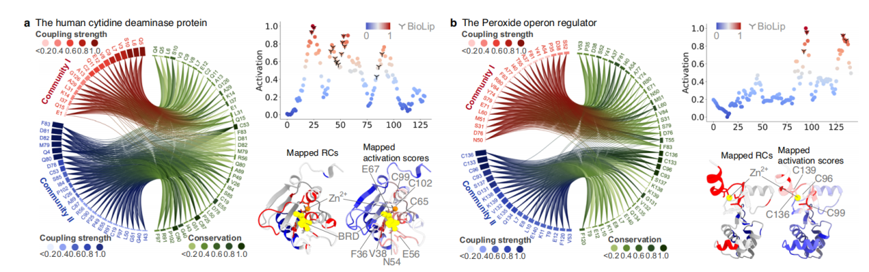 Accurate prediction of protein function using statistics informed graph networks