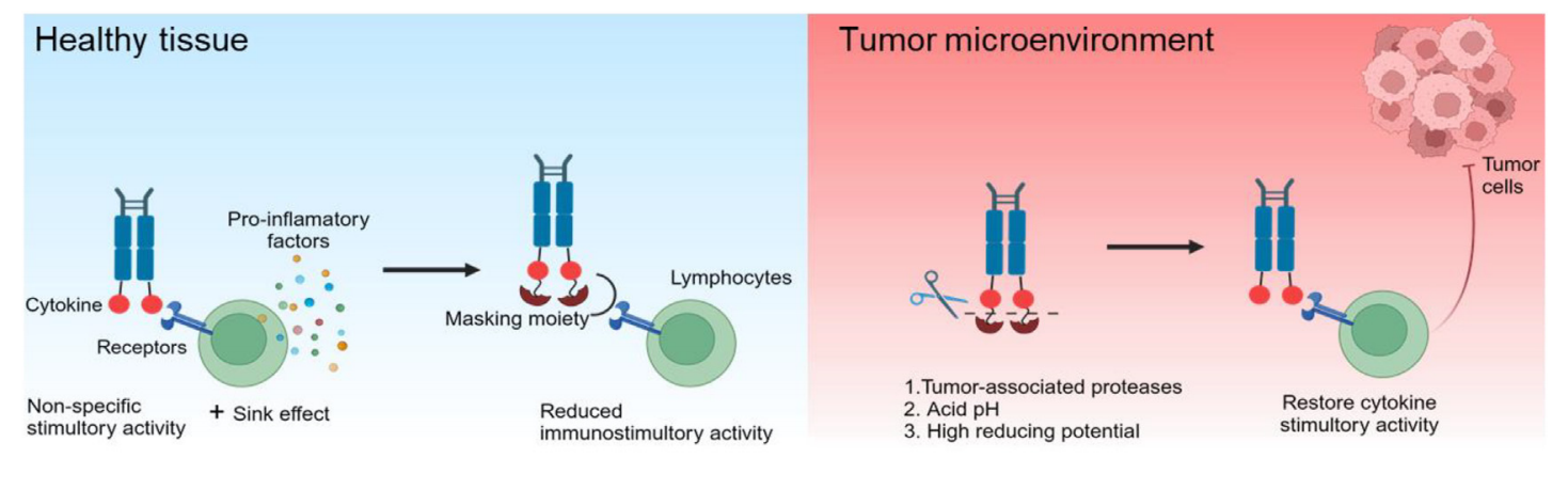 Advancements and challenges in immunocytokines