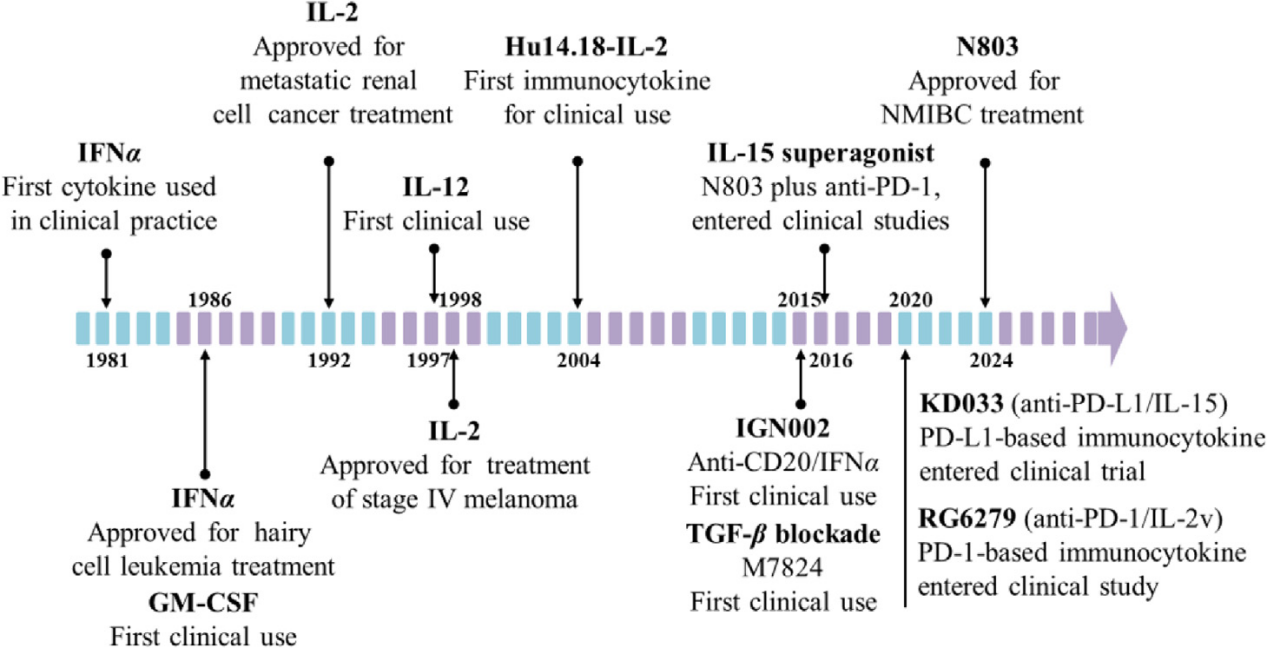 Advancements and challenges in immunocytokines