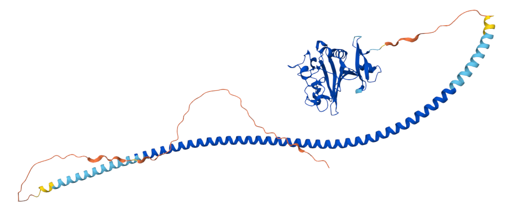 Angiogenesis regulatory target ANGPT2