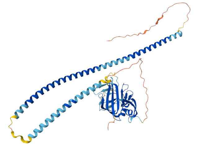 Angptl3 is a key regulator of lipid metabolism