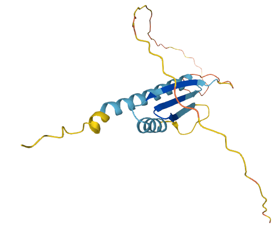 Autoimmune cancer testicular antigen NY-ESO-1
