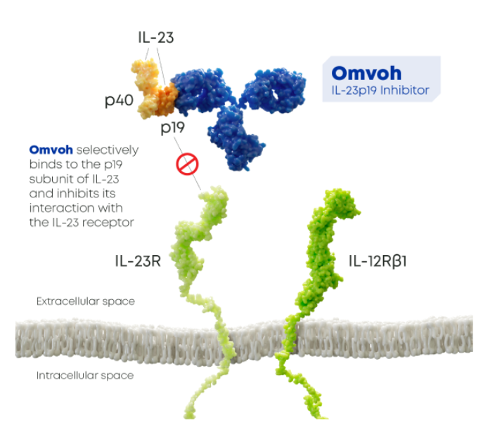 Autoimmune disease treatment target IL23A