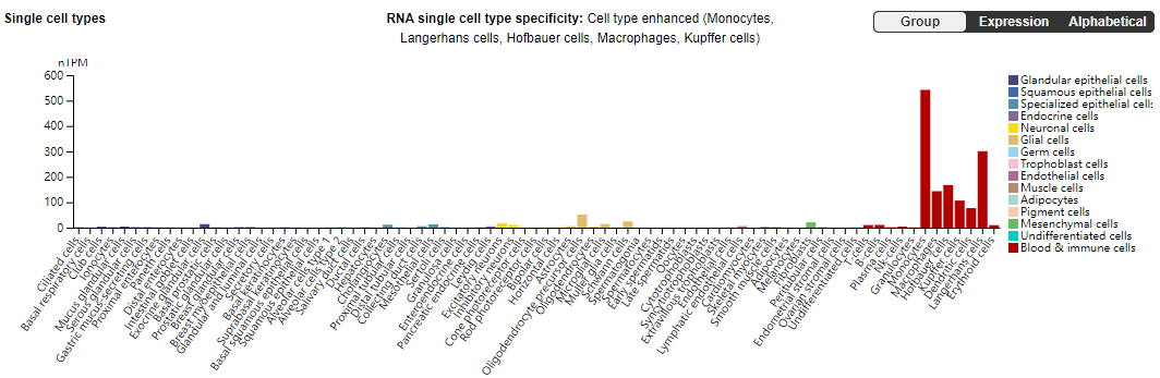 B-cell activating factor BAFF