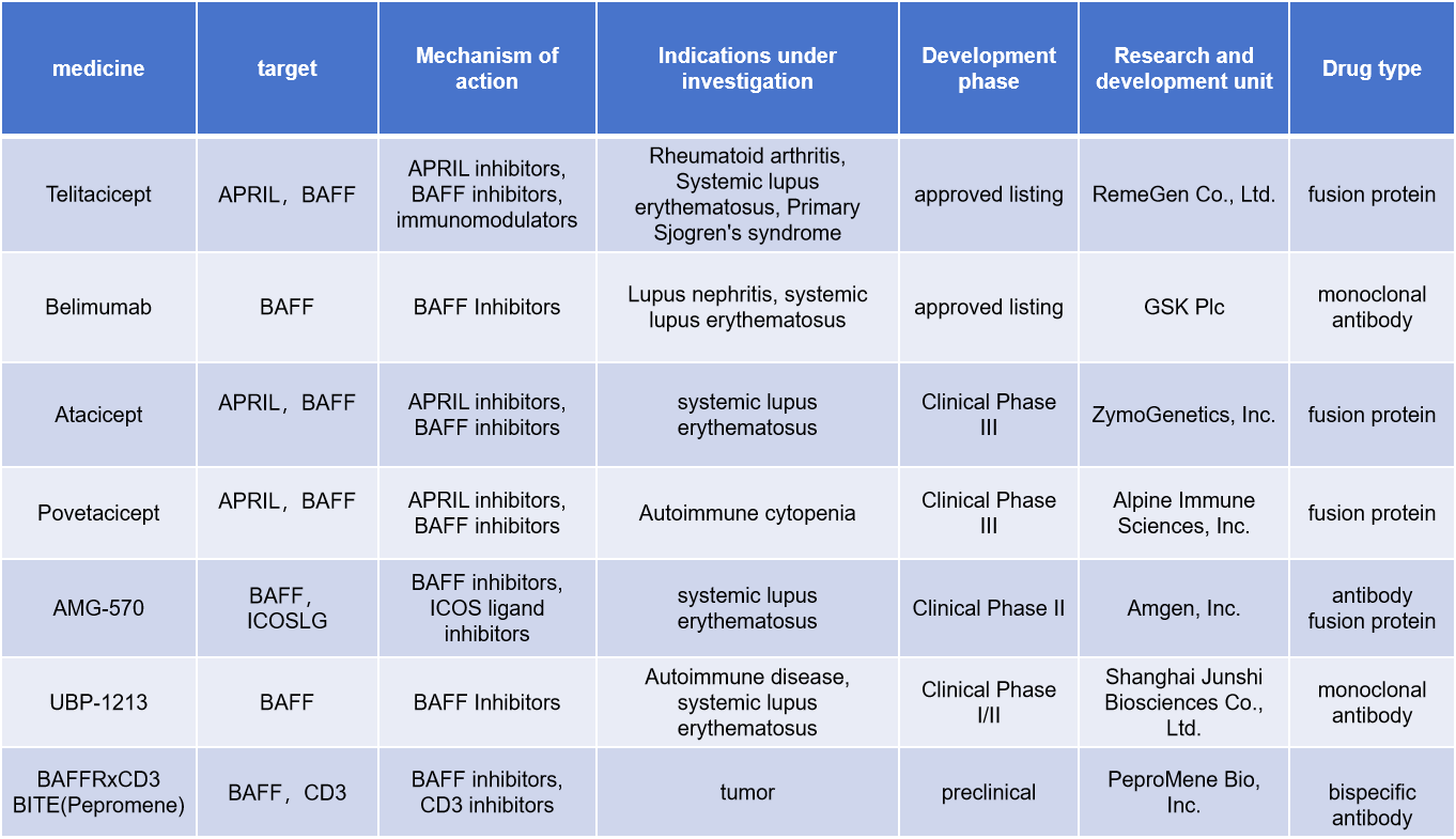 B-cell activating factor BAFF
