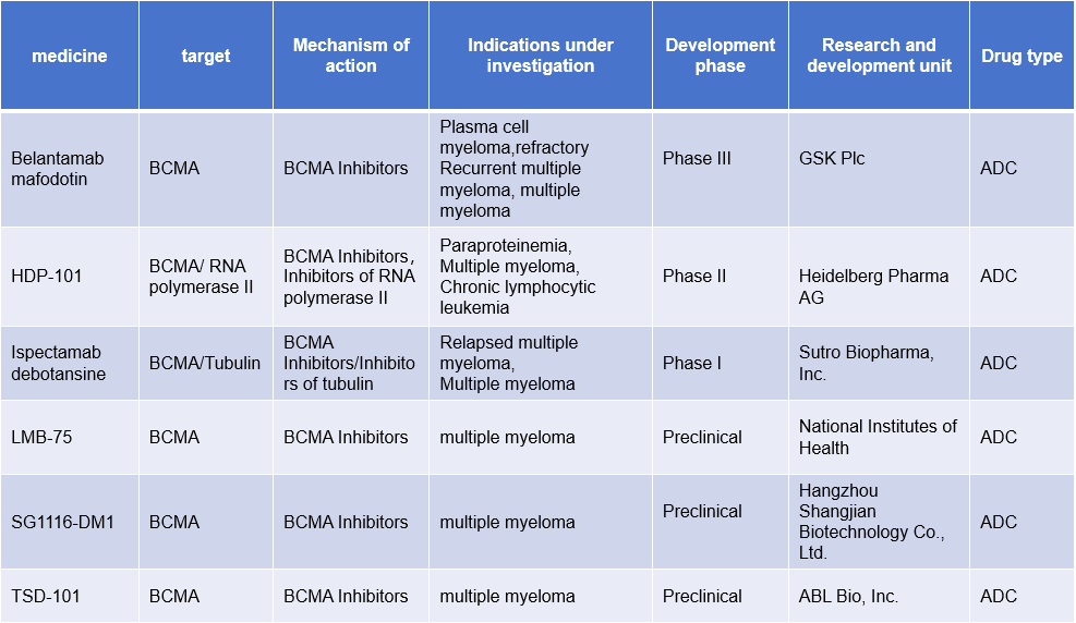B cell maturation antigen BCMA