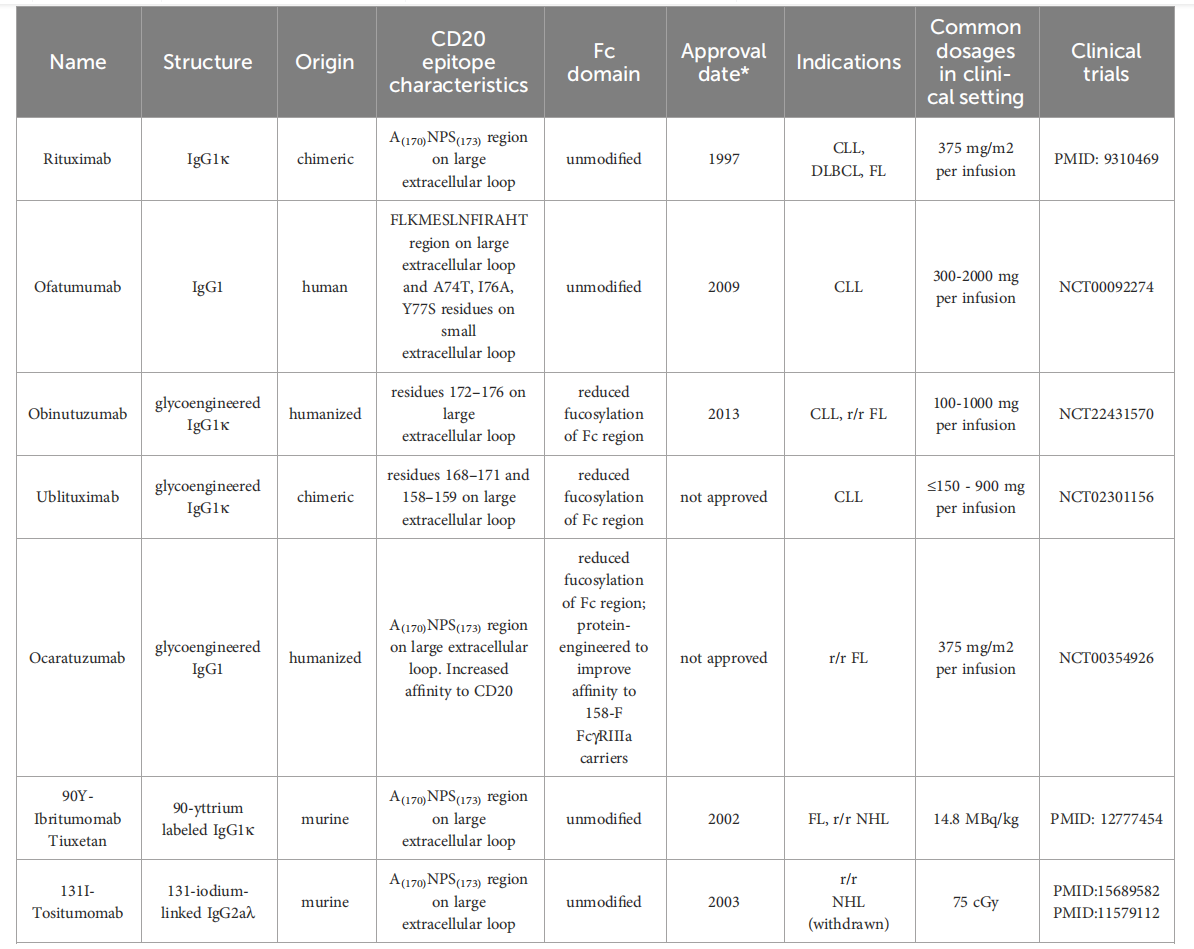 B-lymphocyte antigen CD20