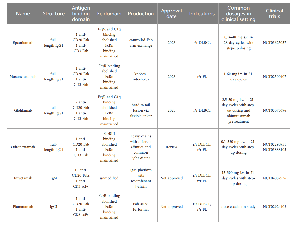 B-lymphocyte antigen CD20