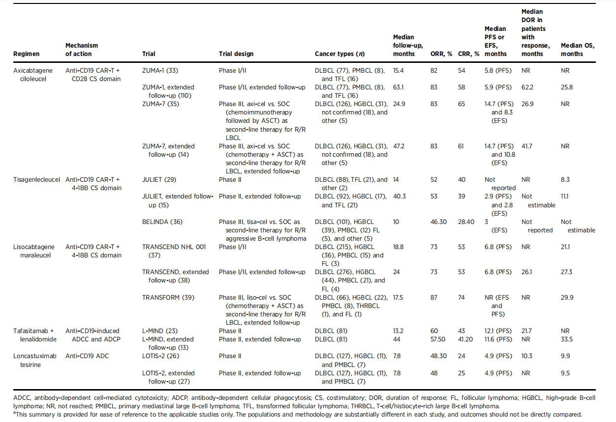B-lymphocyte marker CD19