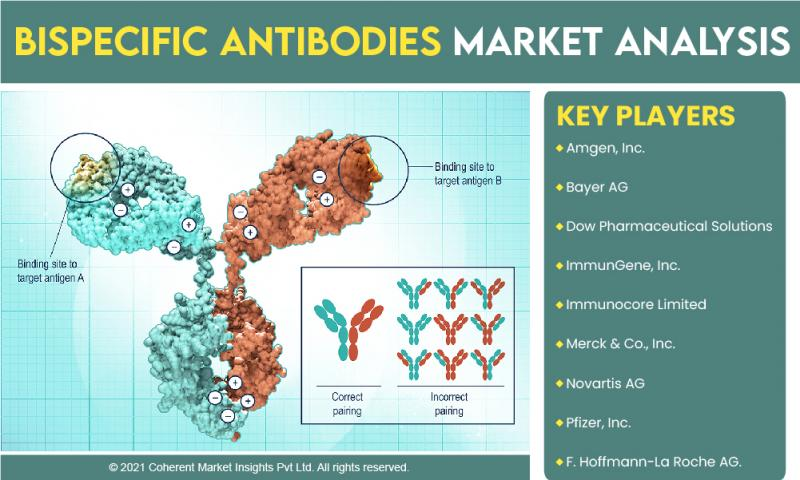 Bispecific antibody heavy and light chain matching design