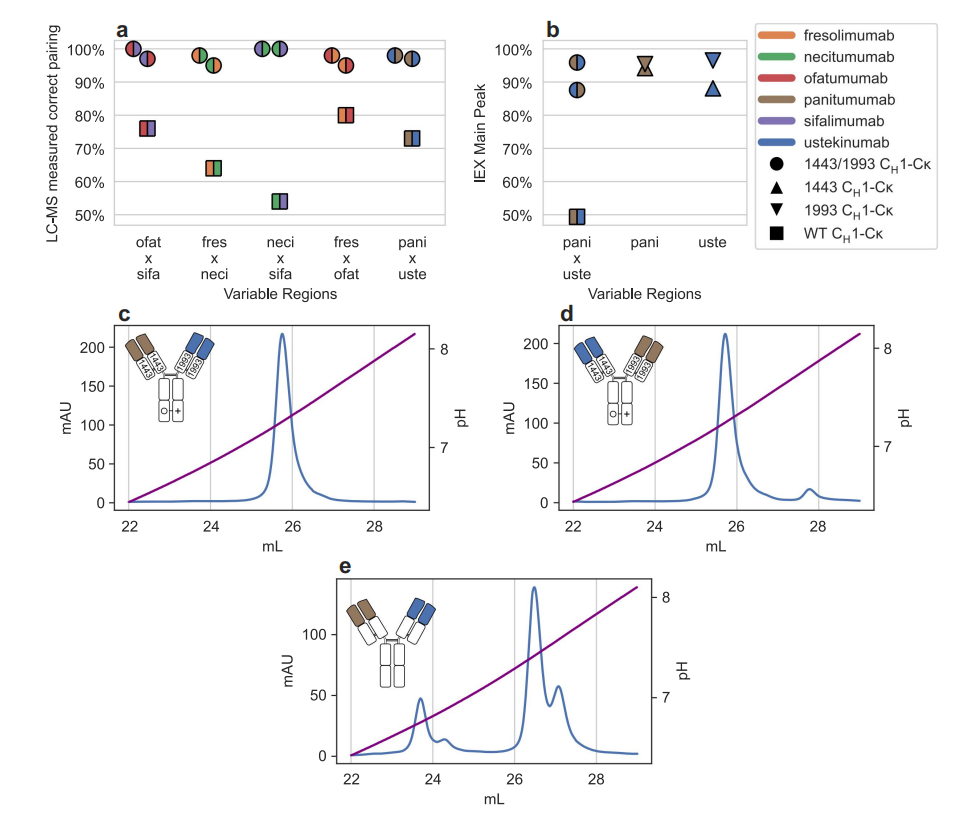 Bispecific antibody heavy and light chain matching design