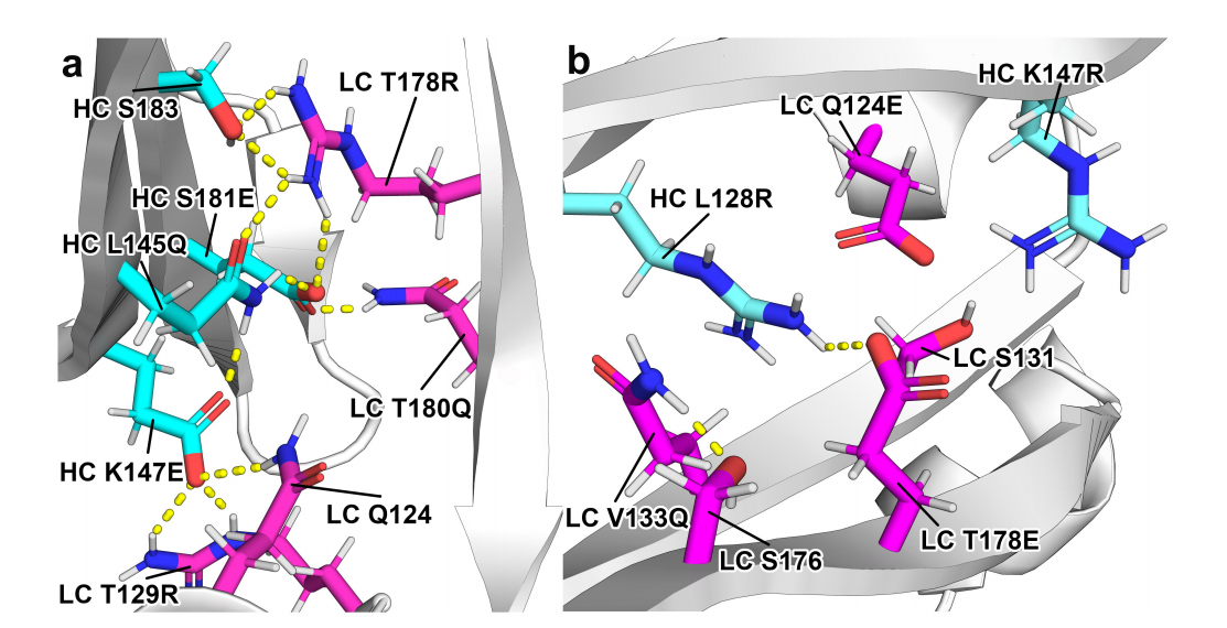 Bispecific antibody heavy and light chain matching design