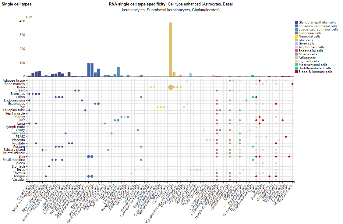 Bladder Cancer Treatment Target FGFR3