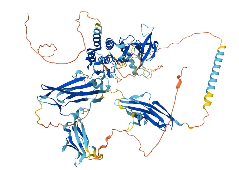 Bladder Cancer Treatment Target FGFR3