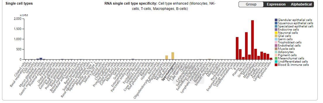 Blood cancer therapeutic target CD45