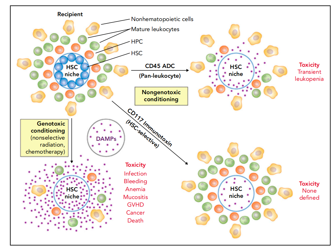Blood cancer therapeutic target CD45