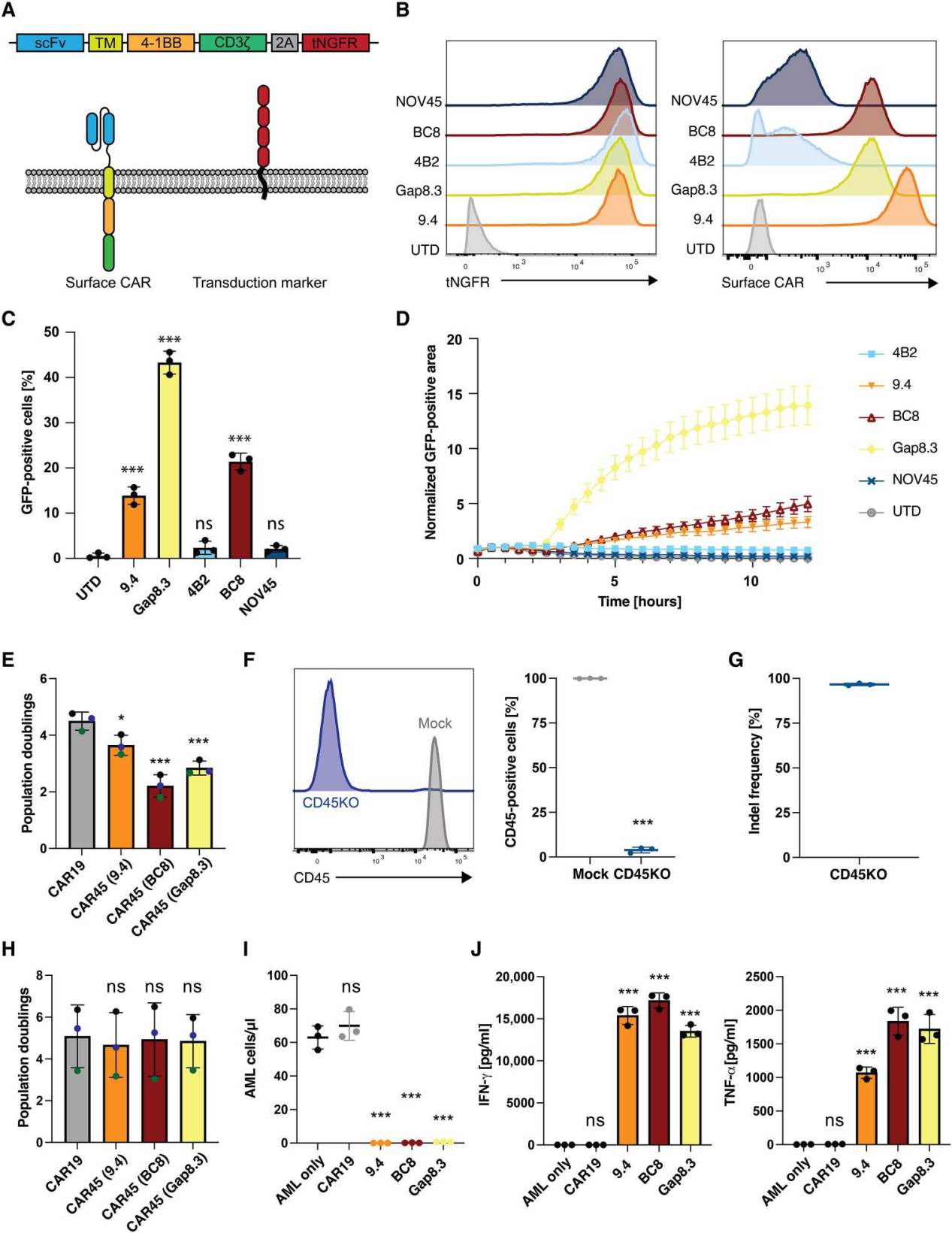 Blood cancer therapeutic target CD45