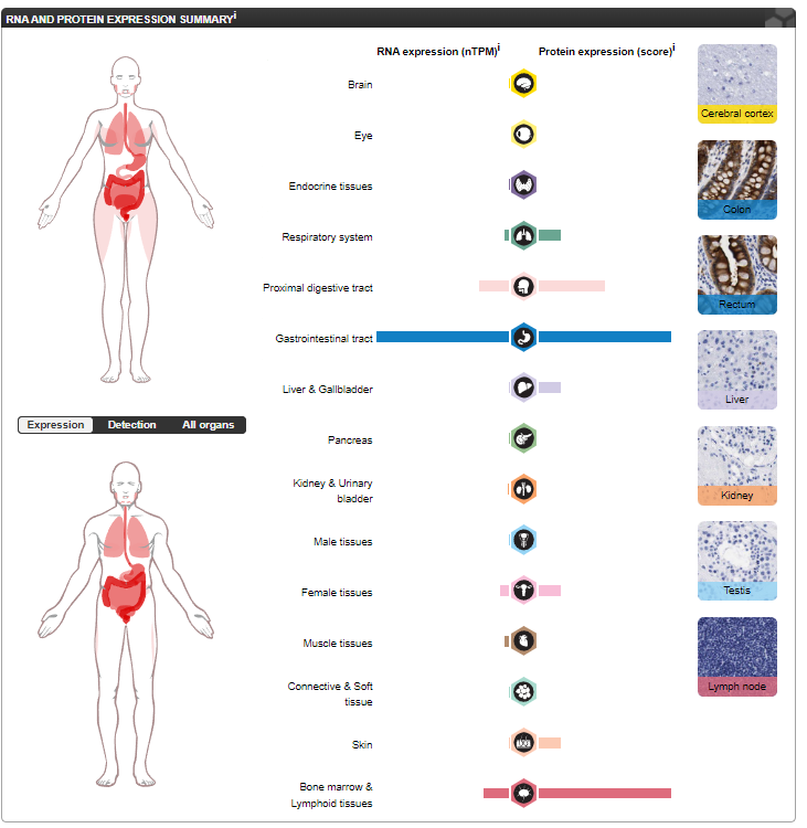 Broad spectrum tumor markers CEA