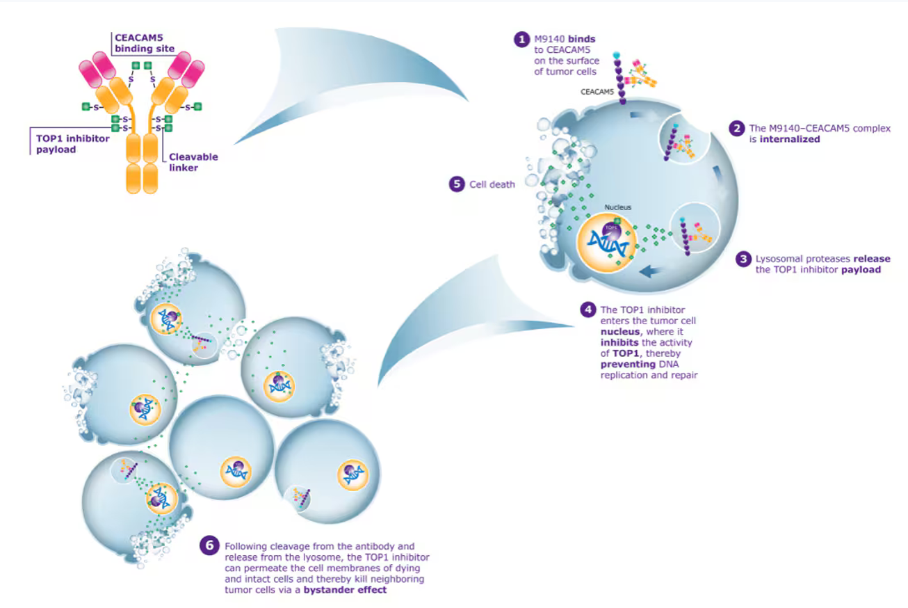 Broad spectrum tumor markers CEA