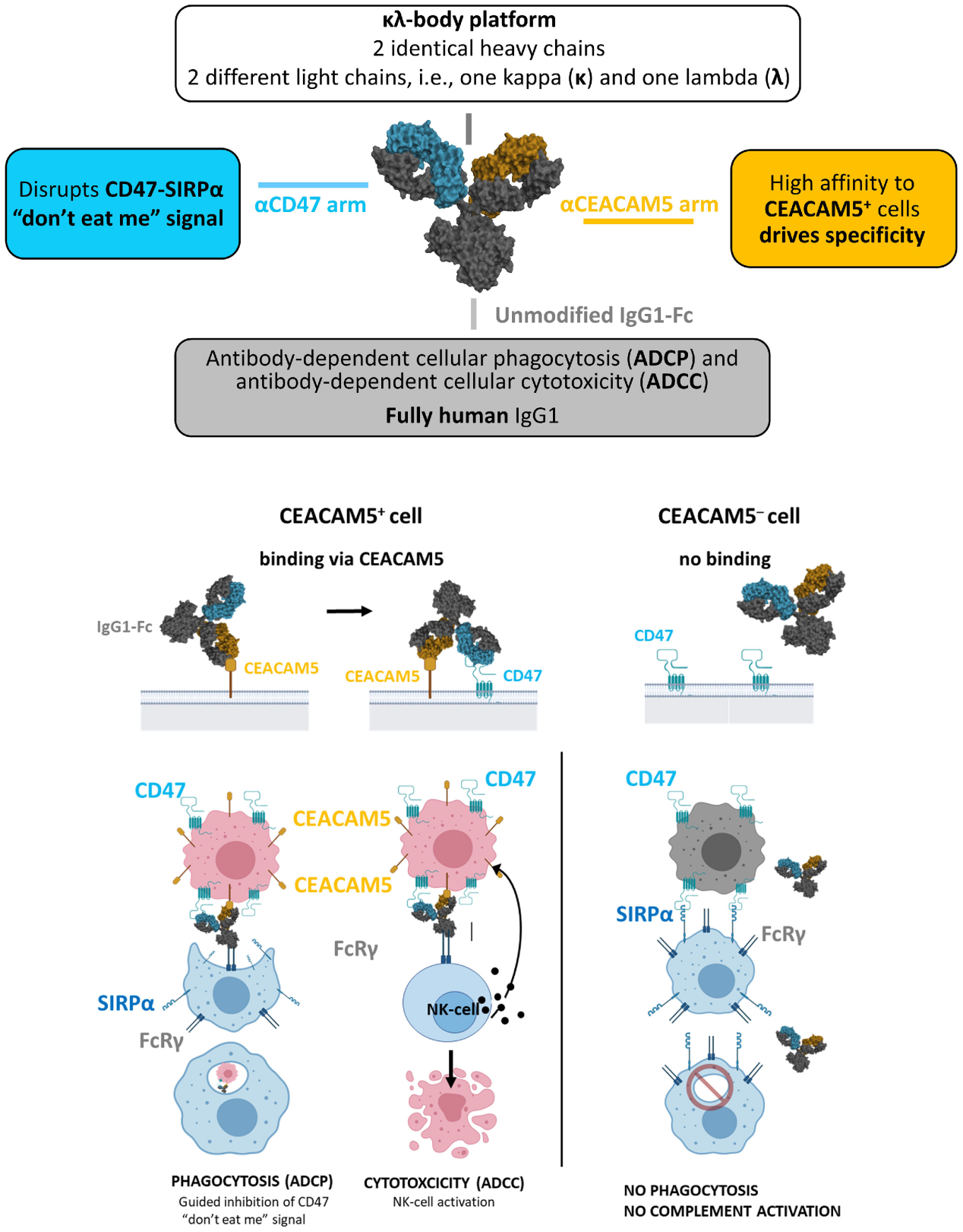 Broad spectrum tumor markers CEA