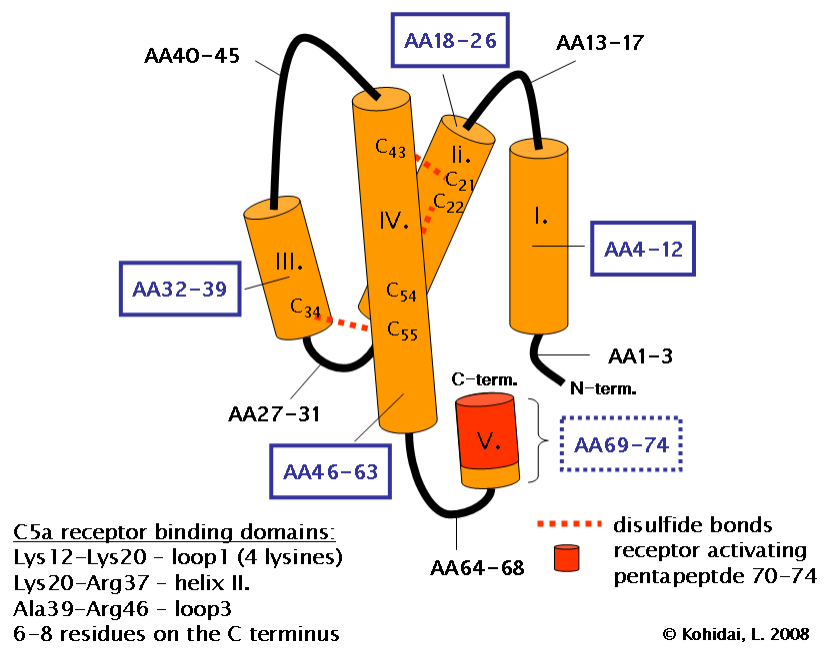 C5 The target of the complement system