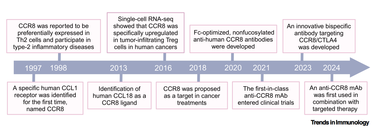 CCR8: a promising therapeutic target against tumor-infiltrating regulatory T cells