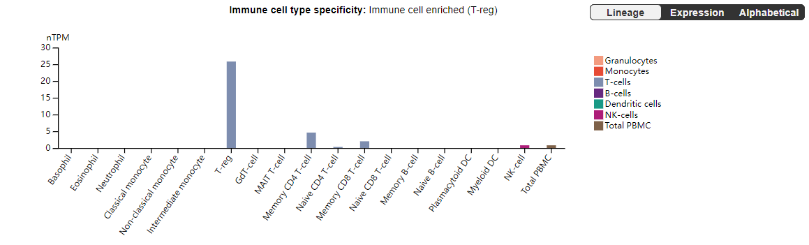 CCR8: a promising therapeutic target against tumor-infiltrating regulatory T cells
