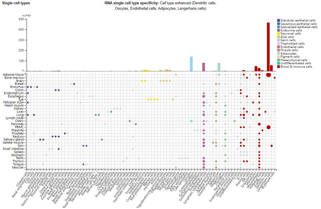CD123 is a therapeutic target for blood diseases