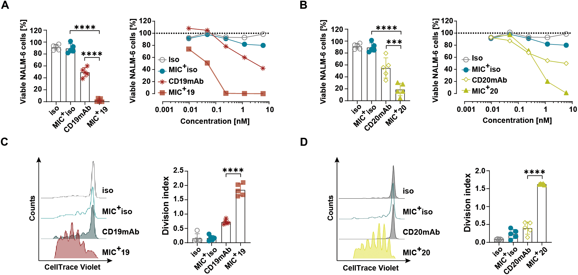CD19 CD20 antibody fusion IL-15 protein dual targeted therapy for B-cell malignancies