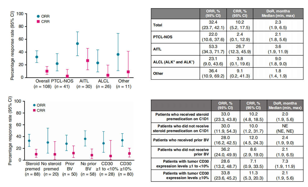 CD30 is a therapeutic target for lymphoma