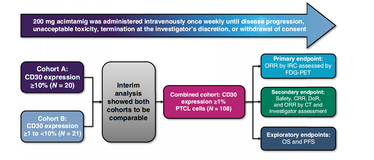 CD30 is a therapeutic target for lymphoma