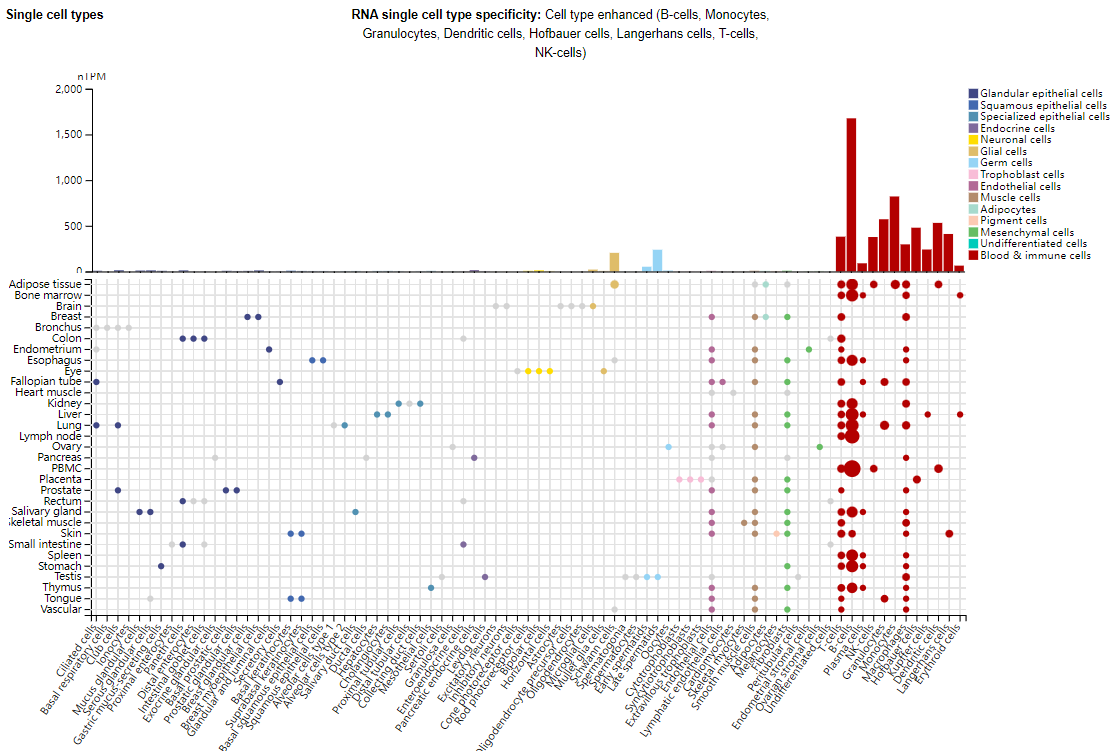 CD37 as a Therapeutic Target for Acute Myeloid Leukemia