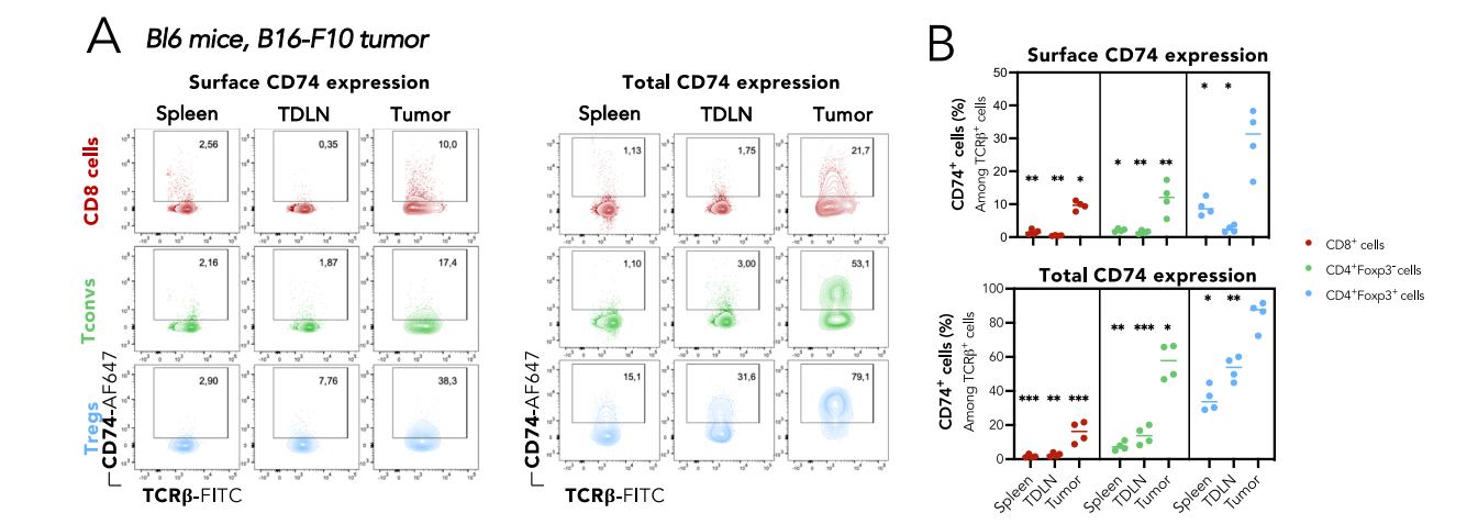 CD74 supports accumulation and function of regulatory T-cells in tumors