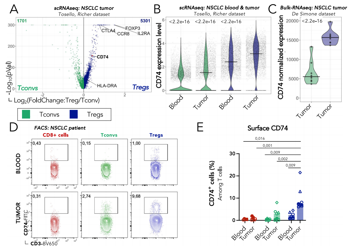 CD74 supports accumulation and function of regulatory T-cells in tumors