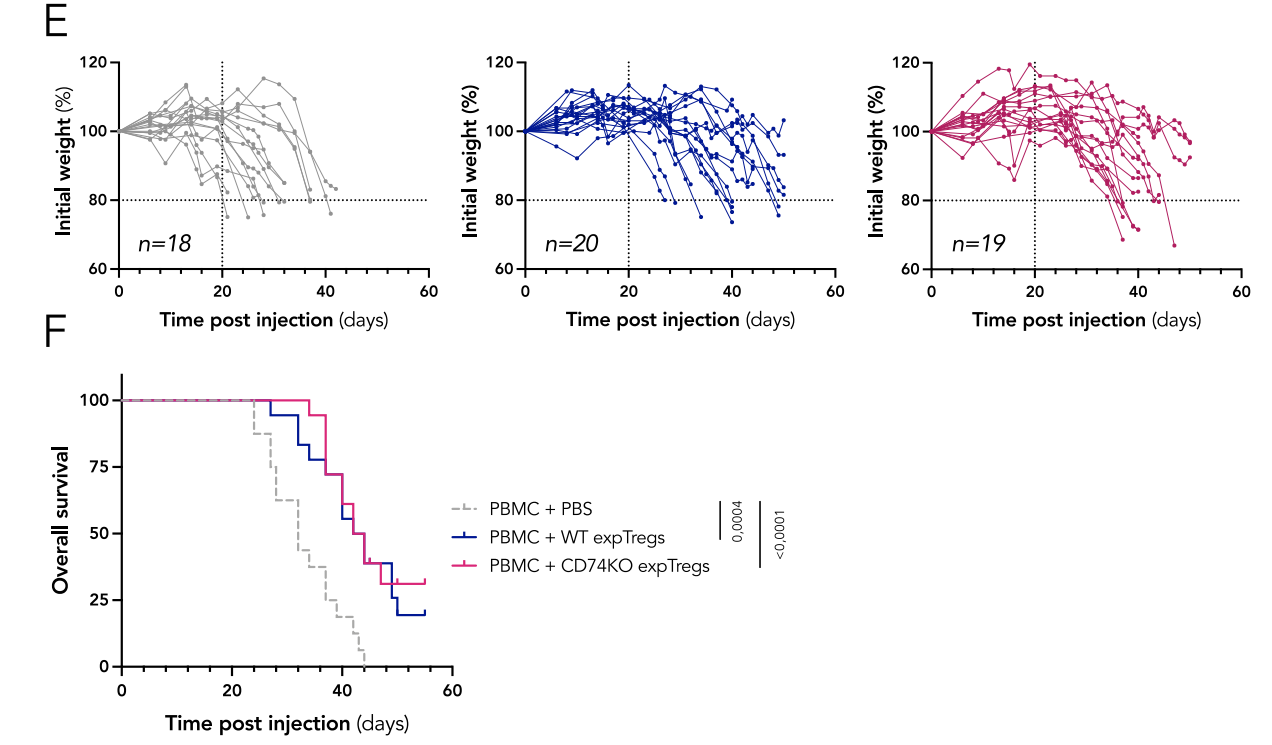 CD74 supports accumulation and function of regulatory T-cells in tumors