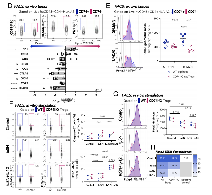 CD74 supports accumulation and function of regulatory T-cells in tumors