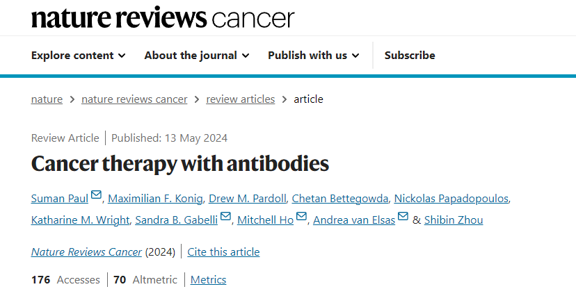 Cancer therapy with antibodies